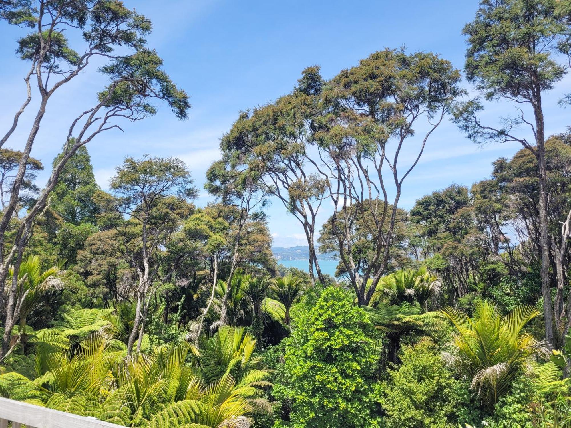 Annabells B&B Whitianga Exteriér fotografie