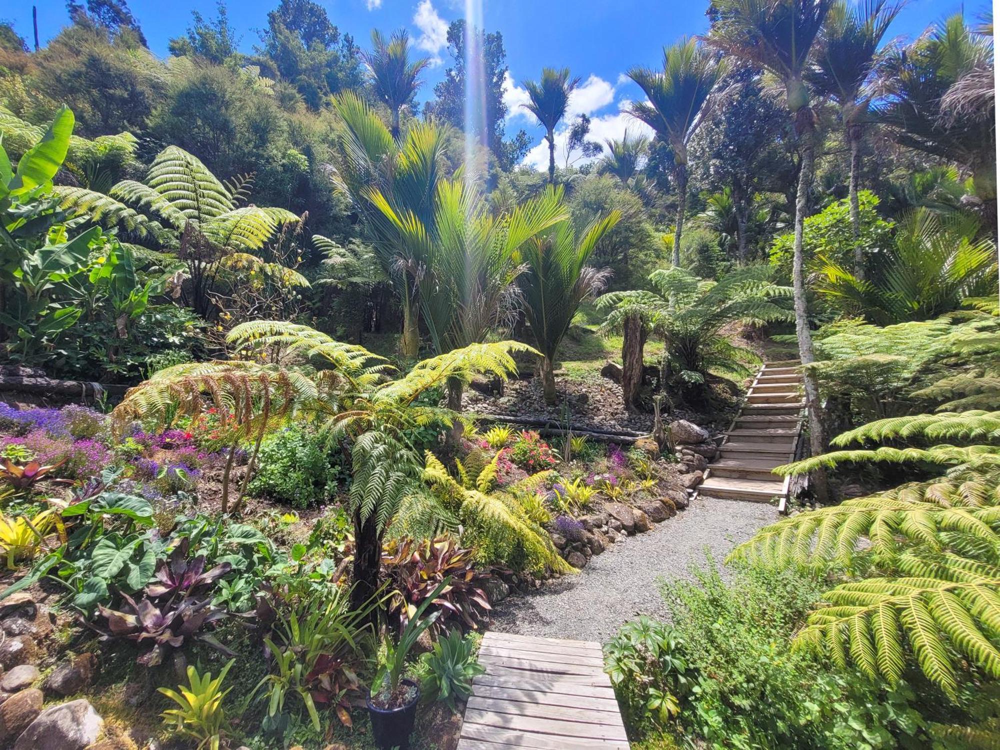 Annabells B&B Whitianga Exteriér fotografie
